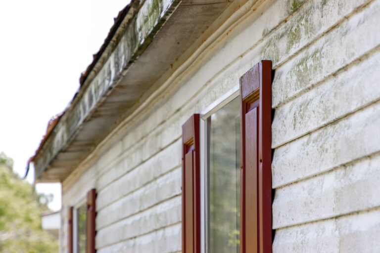 How to Avoid Composite Siding Mold Growth: The Definitive Editorial Guide